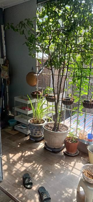 Bán Gấp nhà Phố Huế - HÀNG HIẾM TRUNG TÂM HÀ NỘI 21m2, 4.25 tỷ